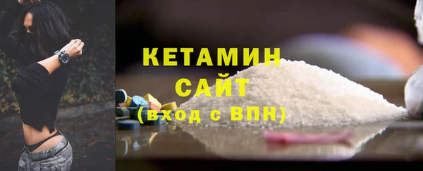 прущие грибы Дмитриев