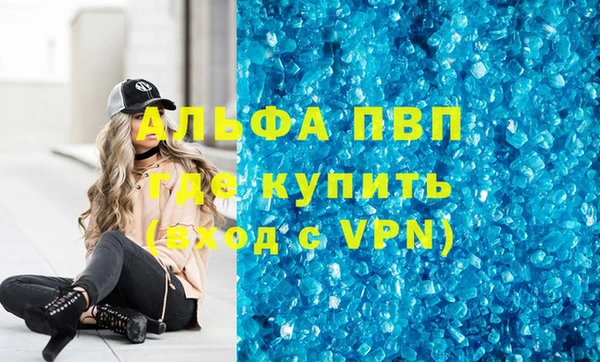 прущие грибы Дмитриев