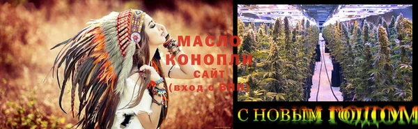 трава Ельня
