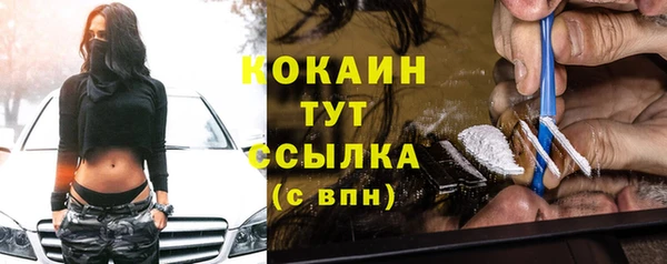 трава Ельня